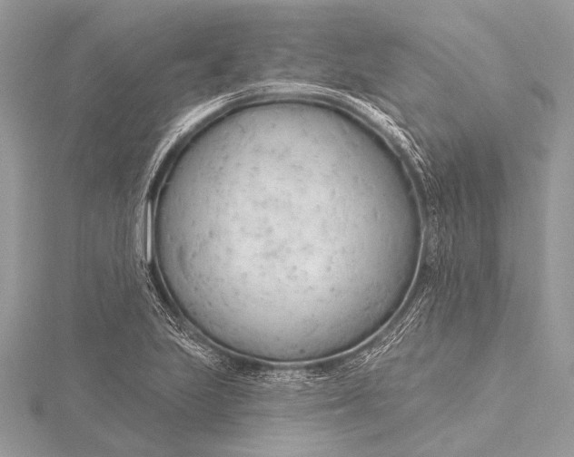 X0000115771223200912041425