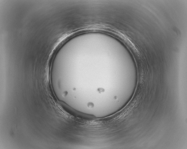 X0000115771224200912041425