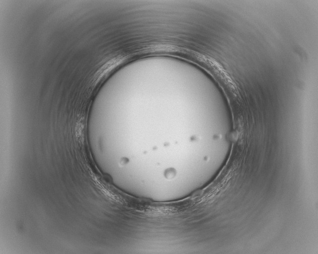 X0000115771225200912041425