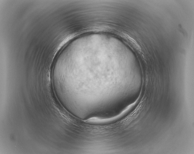 X0000115771226200912041425