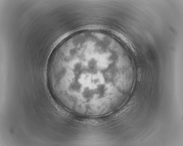 X0000115771229200912041425