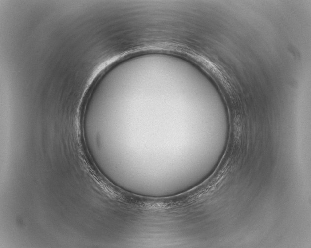 X0000115771230200912041425