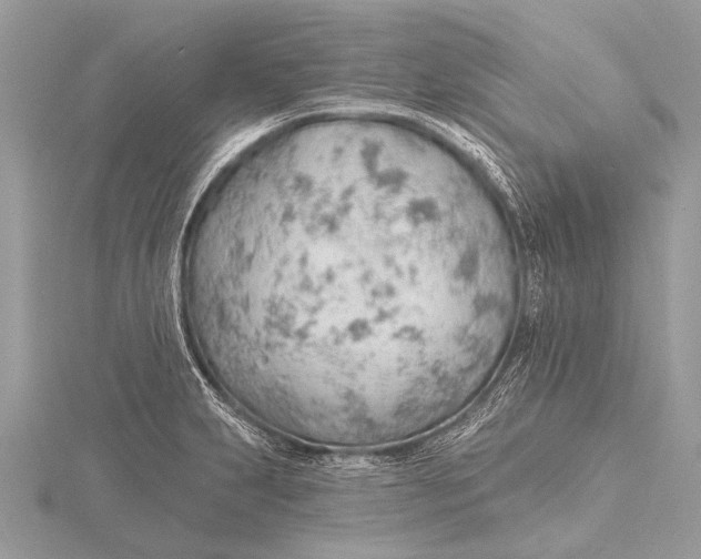 X0000115771231200912041425