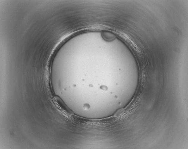 X0000115771232200912041425