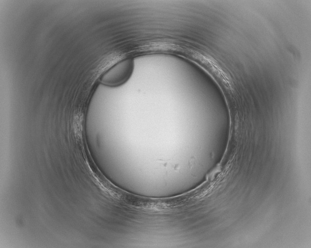 X0000115771233200912041425