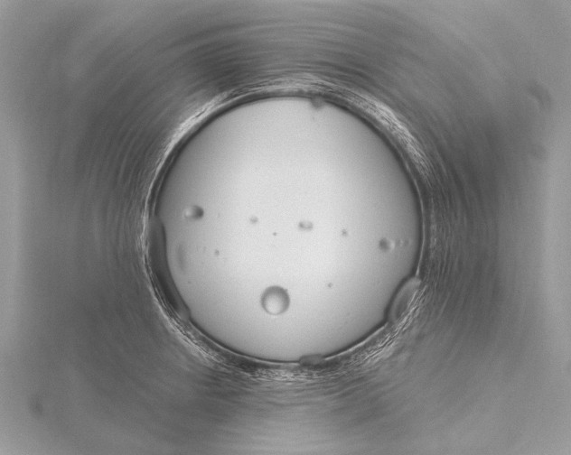 X0000115771234200912041425