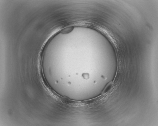 X0000115771235200912041425