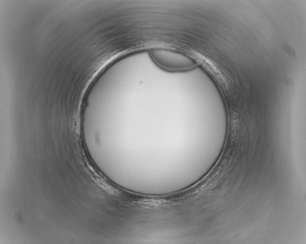 X0000115771236200912041425