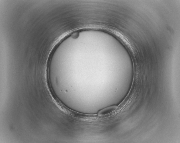 X0000115771237200912041425