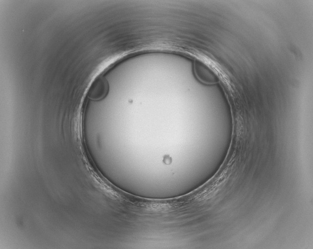 X0000115771238200912041425