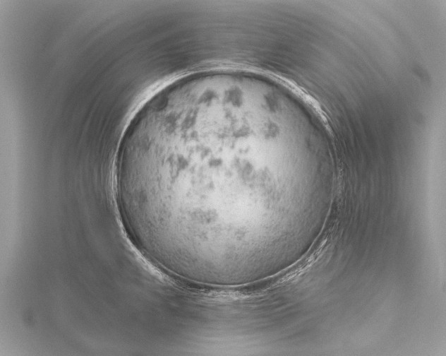 X0000115771239200912041425