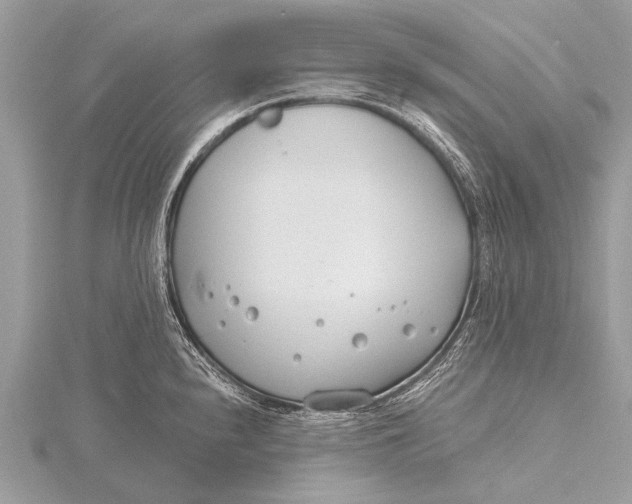 X0000115771240200912041425