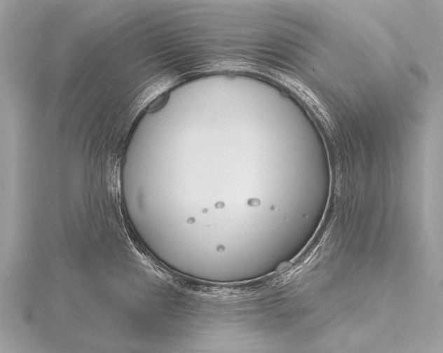 X0000115771241200912041425