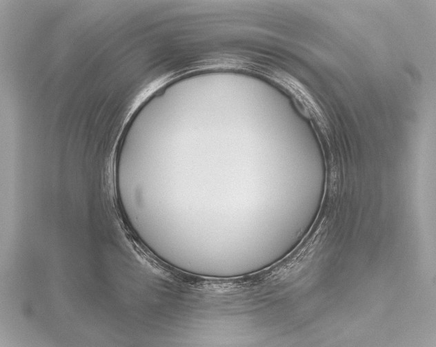 X0000115771242200912041425