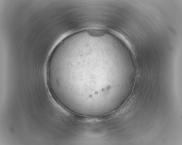 X0000115771243200912041425