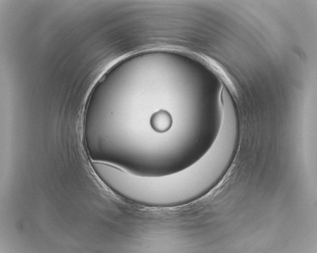 X0000115771244200912041425