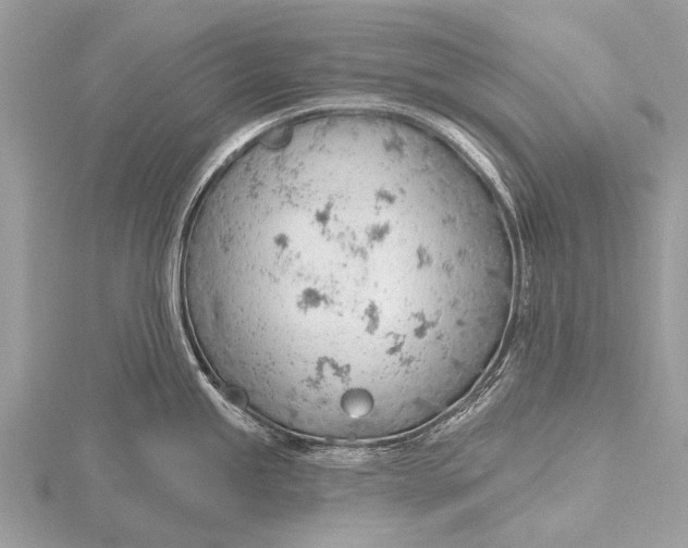 X0000115771245200912041425