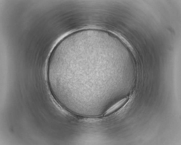 X0000115771246200912041425