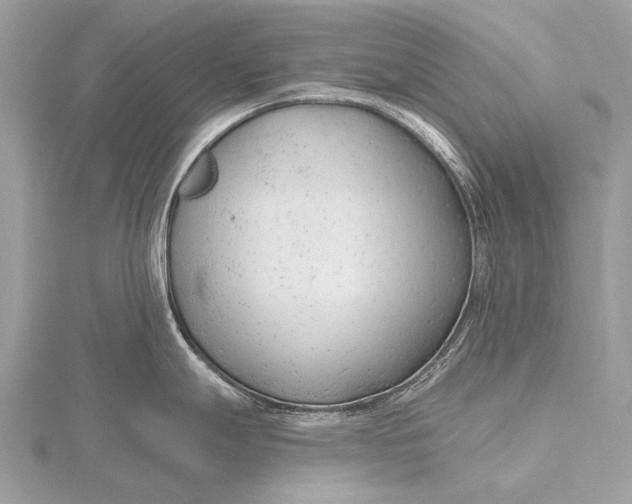 X0000115771247200912041425