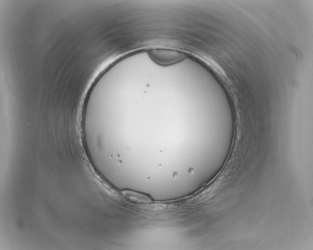 X0000115771248200912041425