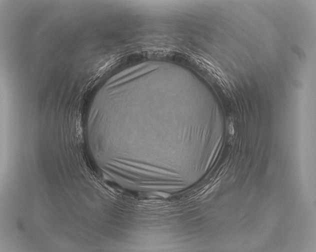 X0000115771252200912041424