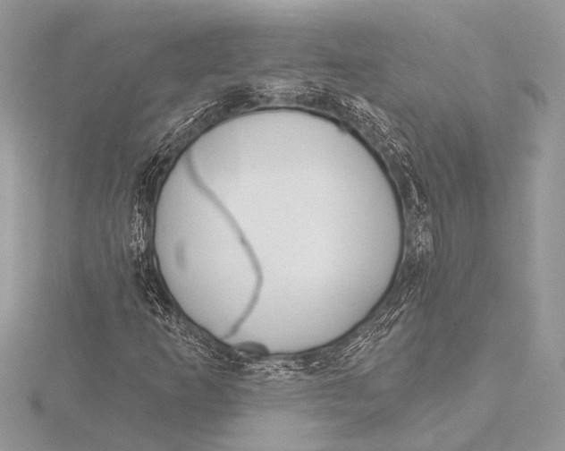 X0000115771253200912041424