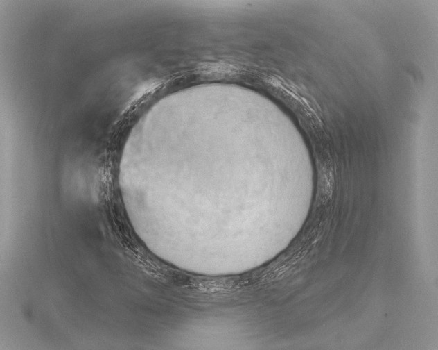 X0000115771254200912041424