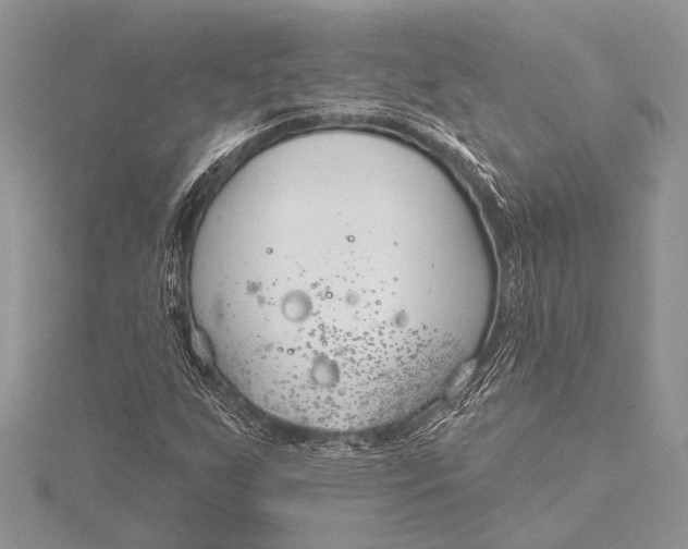 X0000115771255200912041424