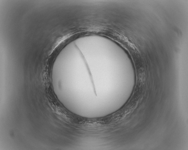 X0000115771256200912041424