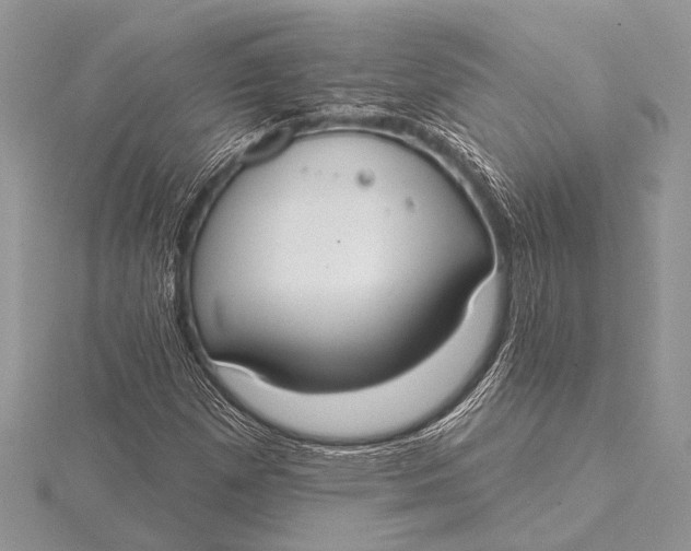 X0000115771257200912041424