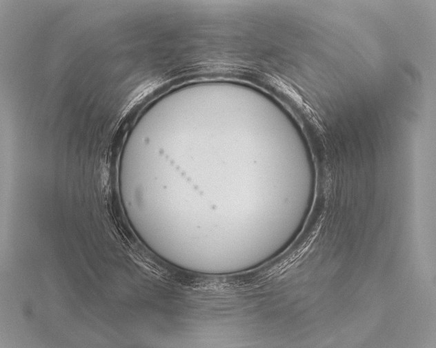 X0000115771259200912041424