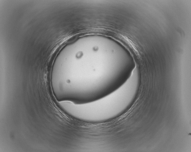 X0000115771260200912041424