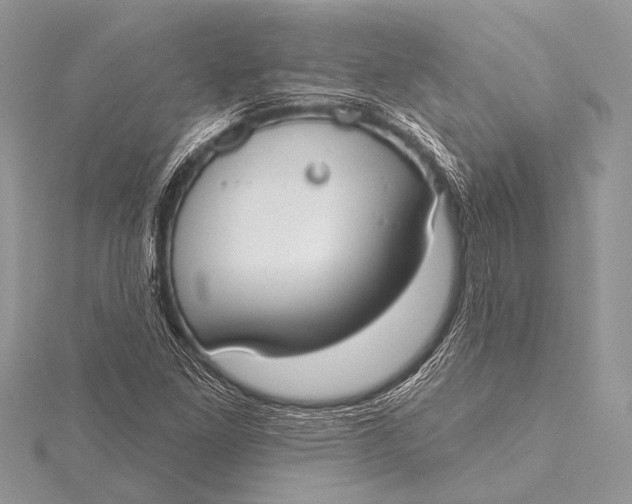 X0000115771261200912041424