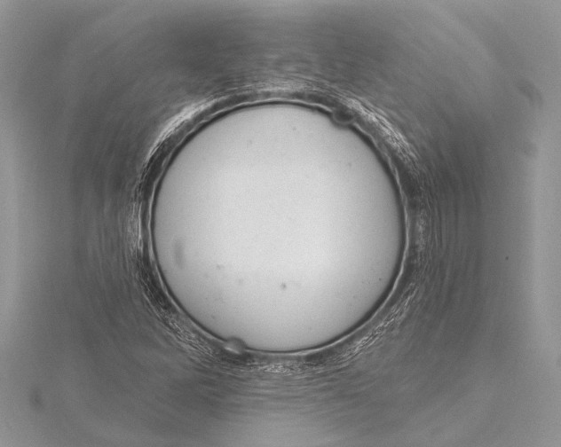 X0000115771262200912041424