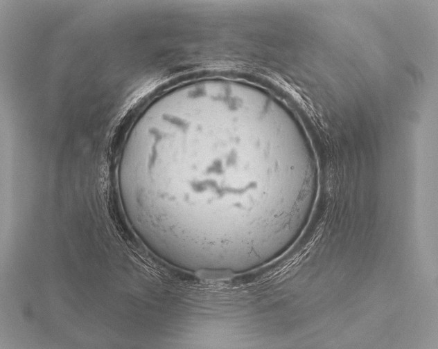 X0000115771263200912041424