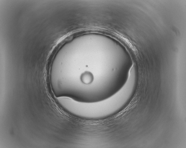 X0000115771264200912041424