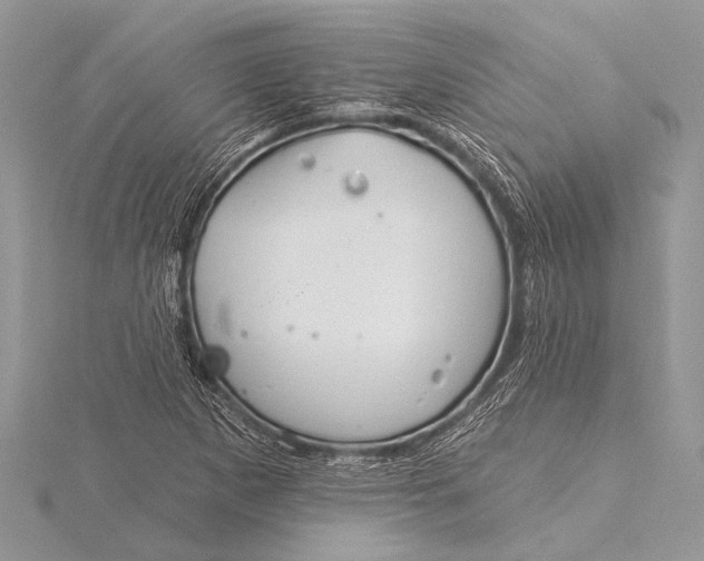 X0000115771265200912041424