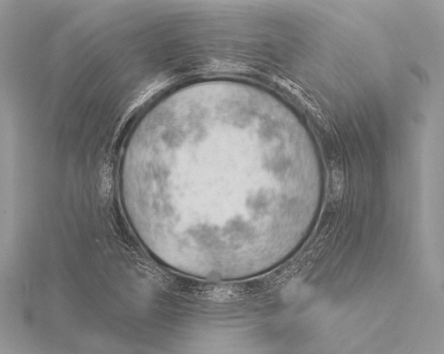 X0000115771266200912041424