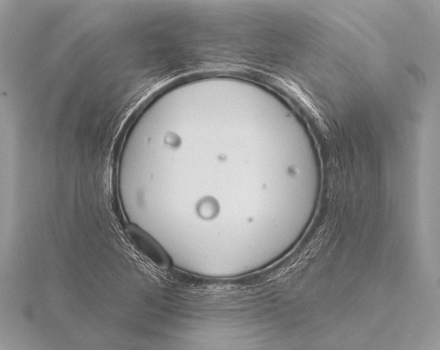 X0000115771268200912041424