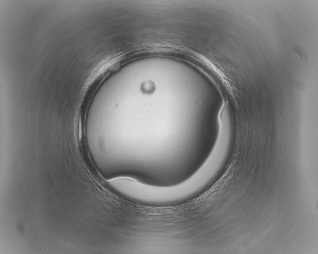 X0000115771269200912041424