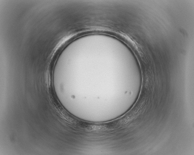 X0000115771271200912041424