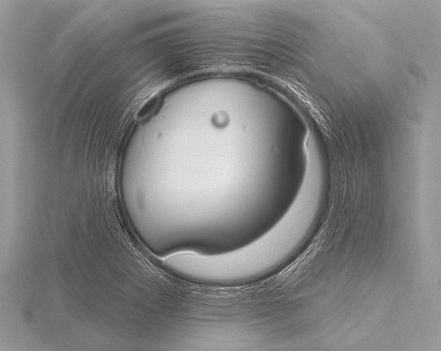 X0000115771273200912041424