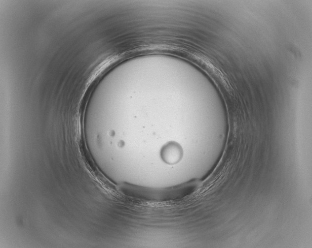 X0000115771274200912041424