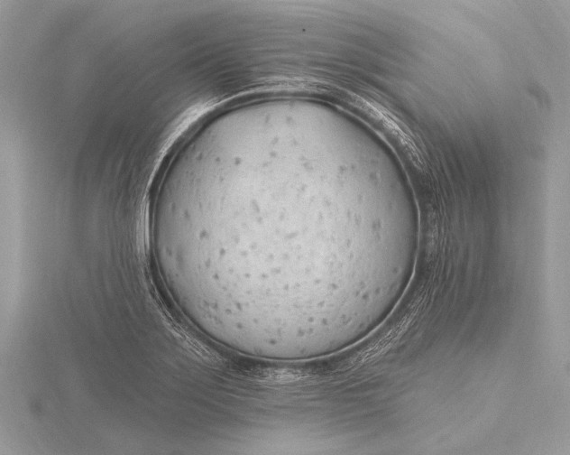 X0000115771275200912041424