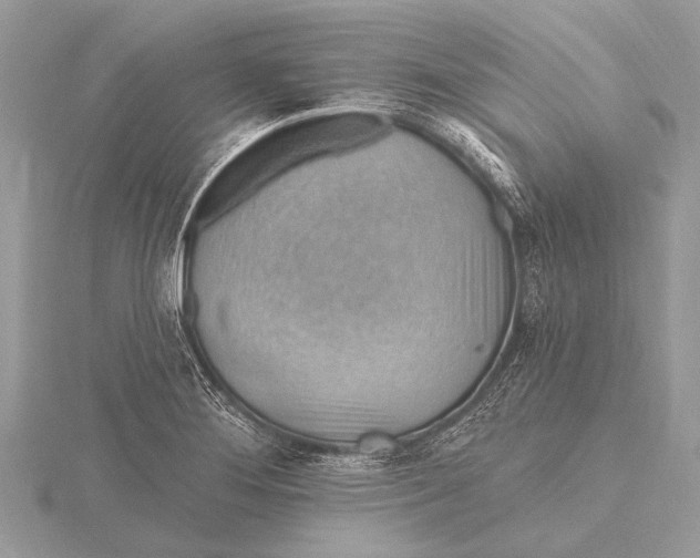 X0000115771276200912041424