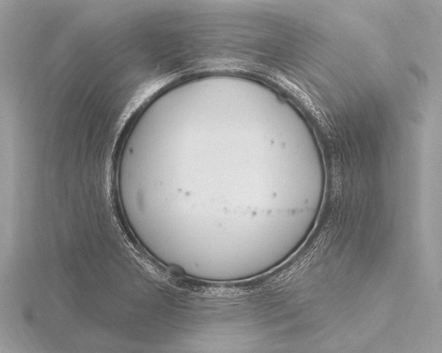 X0000115771277200912041424