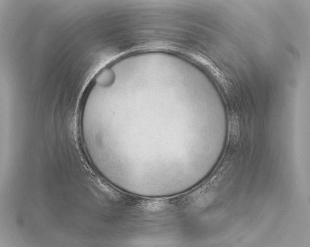 X0000115771278200912041424