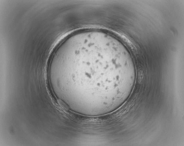 X0000115771279200912041424