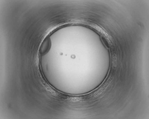 X0000115771280200912041424