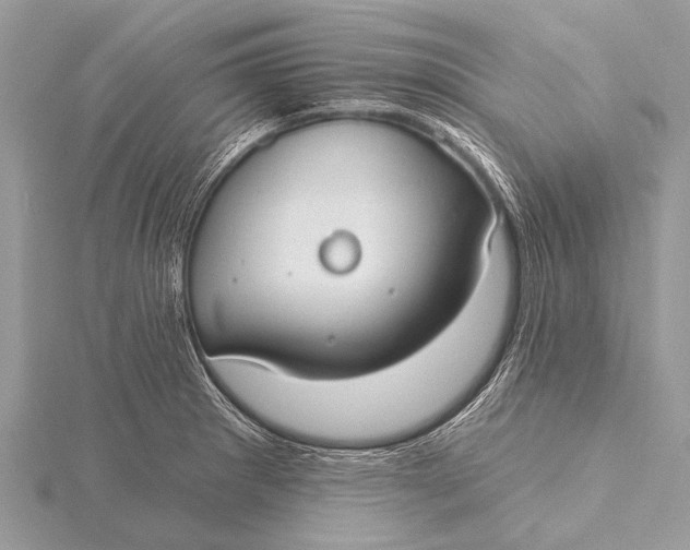 X0000115771281200912041424